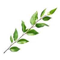 AI generated Branch of green leaves clip art png