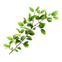 AI generated Branch of green leaves clip art png