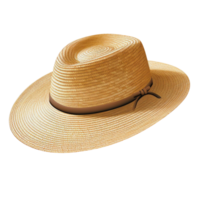 AI generated Straw hat clip art png