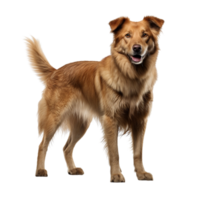 AI generated Dog standing clip art png