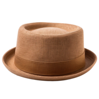 AI generated Fedora hat for man clip art png