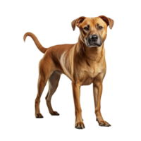 ai gegenereerd hond staand klem kunst png