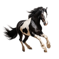 AI generated Black and white horse running clip art png