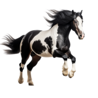 AI generated Black and white horse running clip art png