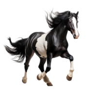 AI generated Black and white horse running clip art png