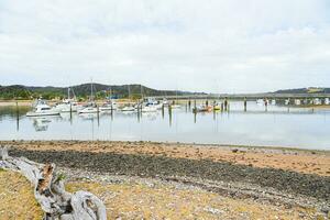 View to the pier and boats, Bay of Islands in New Zealand photo