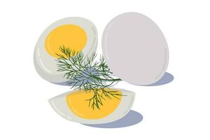 Hard boiled sliced broken egg with dill twig flat style with shadow isolated on white background. Elements of breakfast symbol. Vector illustration.