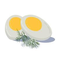 Hard boiled sliced broken egg with dill twig flat style with shadow isolated on white background. Elements of breakfast symbol. Vector illustration.