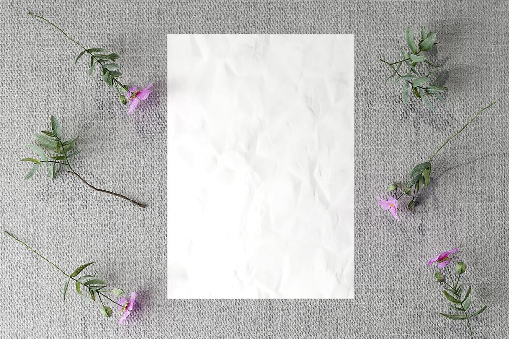 A4 Size Background Stock Photos, Images and Backgrounds for Free Download