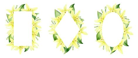 Set of frames of yellow vanilla flowers. Wreaths with tropical exotic flowers. Watercolor illustrations. Isolated. Flavoring for cooking. For greeting cards, postcard, scrapbooking, packaging design vector