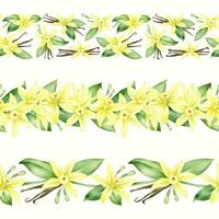 Yellow vanilla flowers, pods and leaves. Set of watercolor seamless border. Isolated. Orchid blossom. For greeting cards, postcard, menu, packaging design vector