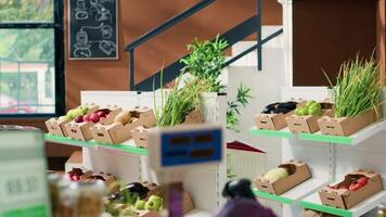 Fresh fruits and vegetables in crates at local bio supermarket, empty zero waste eco store filled with organic produce. Freshly harvested food sold in ethically sourced grocery store. video