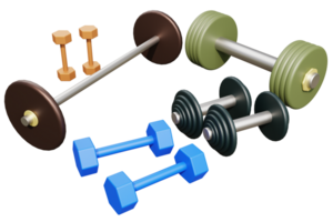 3d  workout gym tools png