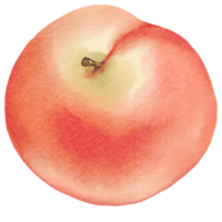 perzik fruit waterverf png