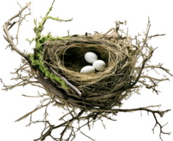 ai generiert Vogel Nest png Stroh Nest png Vögel Nest png Nest im Baum Ast png Vogel Nest png Nest im das Baum Geflügel Nest png Braut Nest png Vögel Nest transparent Hintergrund