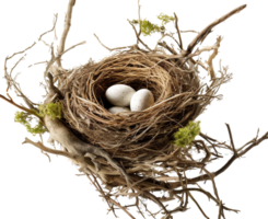 ai generiert Vogel Nest png Stroh Nest png Vögel Nest png Nest im Baum Ast png Vogel Nest png Nest im das Baum Geflügel Nest png Braut Nest png Vögel Nest transparent Hintergrund