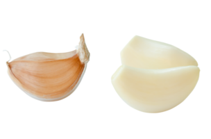 Set of Peeled and unpeeled separated garlic cloves isolated with clipping path in png file format.