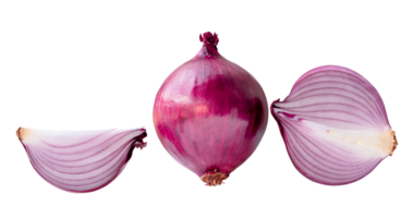 Front view of fresh red or purple onion with half and quarter in set isolated with clipping path in png file format.