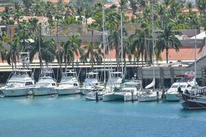 View to Renaissance Marina Oranjestad Aruba with fleet of fishing boats next to LG Smith Blvd. photo