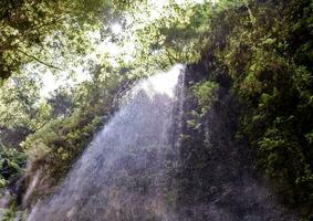 a waterfall in the jungle with a large waterfall photo