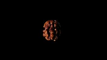 Peeled walnut rotate 360 isolated on black background slow motion video