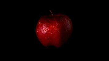 rouge Pomme avec l'eau gouttes tourne isolé sur noir Contexte video
