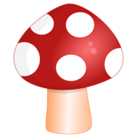 rouge champignon agaric illustration png