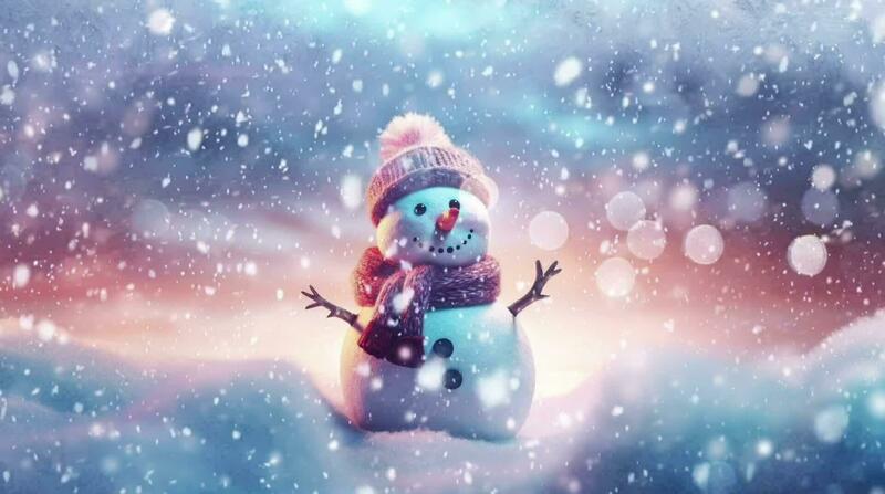 Snow Man Stock Video Footage for Free Download