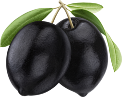 Black olives on branch with leaves isolated png