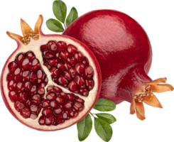 romã fruta isolado png