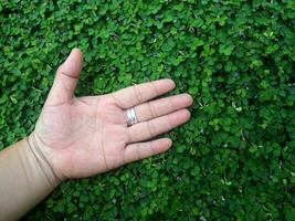 human hand and foot sign on green grass background four leaf cover photo