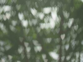 green blur heart bokeh background nature and sweet light blur background green photo