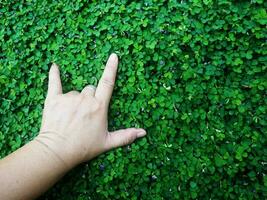 humano mano y pie firmar en verde césped antecedentes cuatro hoja cubrir foto