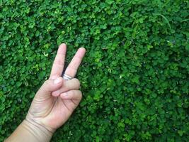 humano mano y pie firmar en verde césped antecedentes cuatro hoja cubrir foto