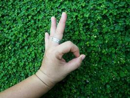 human hand and foot sign on green grass background four leaf cover photo