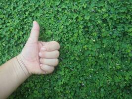 human hand and foot sign on green grass background four leaf cover photo