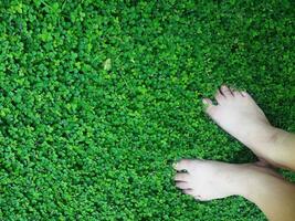 human hand and foot sign on green grass background four leaf cover photo