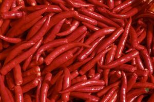 Background of many Chili Spur Peppers without green stem, Top view of long Red peppers Pile photo