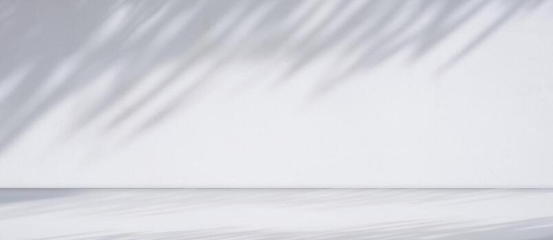 Panoramic view of empty white counter with sunlight and branch shadow on white cement wall room background, suitable for product Display Presentation photo