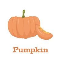 Pumpkin Isolated on White. Flat Design Style. Vector illustration