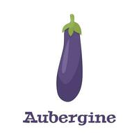 Eggplant veggie food.Purple aubergine,Guibea squash.Fruit of brinjal edible vegetarian food,farm and agriculture product vector