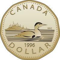 canadiense dólar completamente vectorizado vector