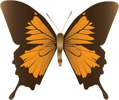 An illustration of a butterfly. vector