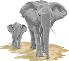 Vector of elephant with calf.