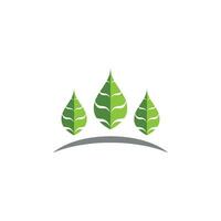 Logos of green Tree leaf ecology vector