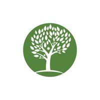 logotipos de la ecología de la hoja del árbol verde vector