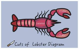 cut of lobster vector