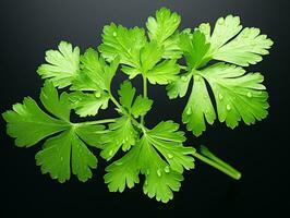 AI generated parsley fresh leaves photo