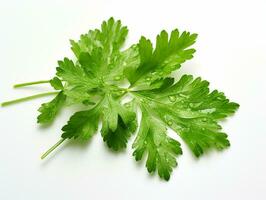 AI generated parsley fresh leaves photo