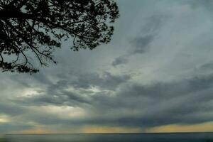 a tree is seen under a cloudy sky photo